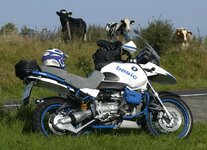 blue_white.jpg