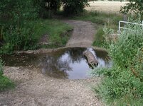 p7300004.jpg