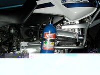 nitrogs.jpg
