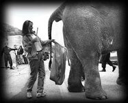 crap.jpg
