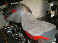 1150 ss.jpg