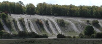 PA020002.JPG