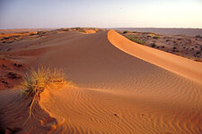 wahiba sands..jpg