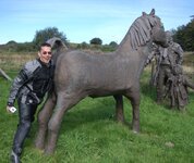 pwhorse.jpg