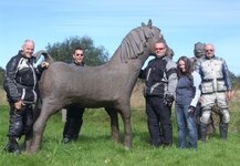 horsegang.jpg