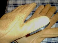 imag0003.jpg