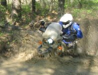 4085606-m.jpg