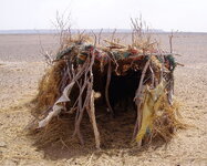 goat pen.JPG