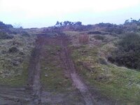 IMG00096-20100225-1627.jpg