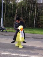 duck.jpg
