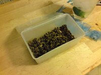 Haggis 3.jpg
