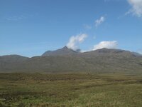 IMG_0975.JPG