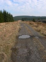 DSCN0875.jpg
