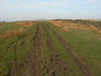 DSCN0876.jpg
