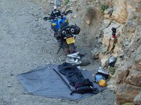wildcamp.jpg