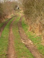 DSCN0879.jpg