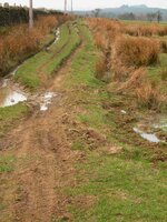 DSCN0882.jpg