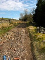 DSCN0897.jpg