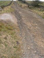 DSCN0903.jpg