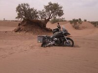 DSCF6513.jpg