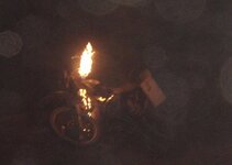 Camel on fire.jpg