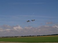 P8200119 (Small).JPG