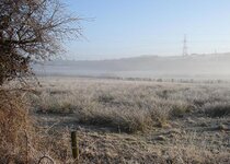 DSC01887-small.JPG