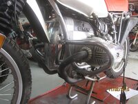 IMG_1215.jpg