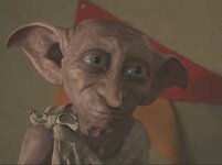 dobby 2.jpg