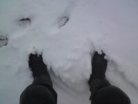 DSC00906.JPG