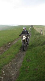 IMG_1586.jpg