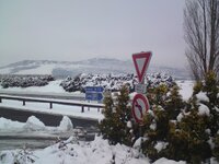 DSC00907.JPG