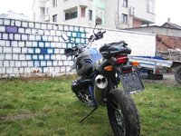 IMG_6986.jpg