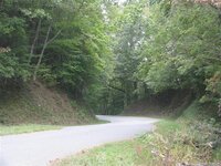 IMG_2022 (Custom).JPG
