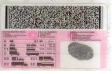 Peter SA Driving License - NEW - Back.jpg