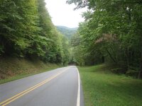 IMG_2024 (Custom).JPG