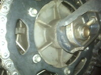 IMG00255.jpg