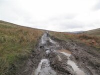 P5080044.JPG