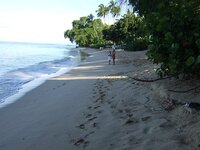 barbados17 017small.jpg