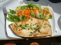 DSCF0058.jpg