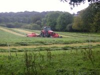 massey2.jpg