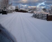 snowy millbay.jpg