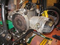 IMG_1516.jpg