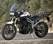 tiger_800_static_01-800.jpg