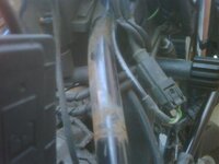 IMG00118-20100415-1409.jpg