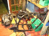 IMG_1538.jpg