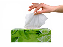 tissue.jpg