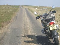 GS 025.jpg
