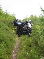 IMG_1685.JPG