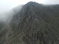 Bristly ridge.jpg